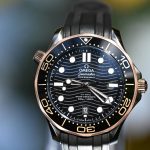Omega Seamaster Diver 300M 210.22.42.20.01.002 Sedna Gold & Steel Black Dial Full Set 2025